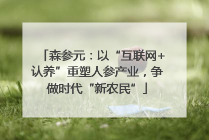 森参元：以“互联网+认养”重塑人参产业，争做时代“新农民”
