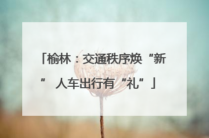 榆林：交通秩序焕“新” 人车出行有“礼”