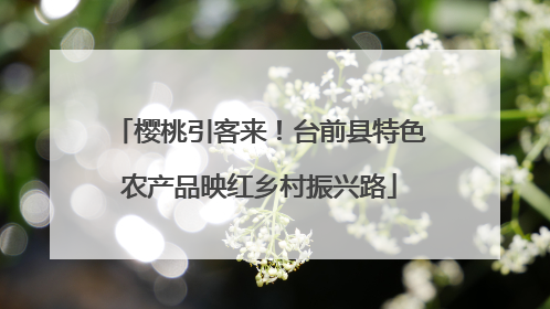 樱桃引客来！台前县特色农产品映红乡村振兴路