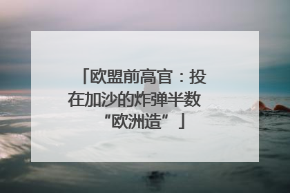 欧盟前高官：投在加沙的炸弹半数“欧洲造”