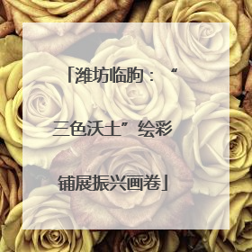 潍坊临朐：“三色沃土”绘彩铺展振兴画卷
