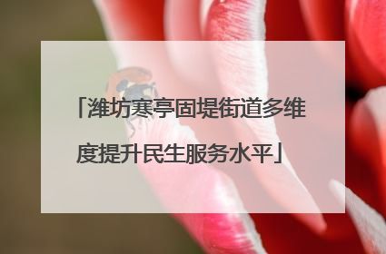 潍坊寒亭固堤街道多维度提升民生服务水平