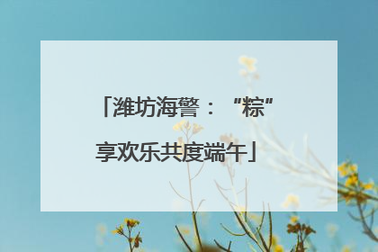 潍坊海警：“粽”享欢乐共度端午