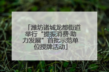 潍坊诸城龙都街道举行“提振消费·助力发展”首批示范单位授牌活动