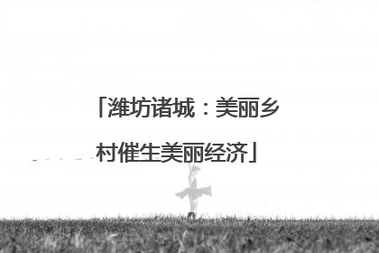 潍坊诸城：美丽乡村催生美丽经济