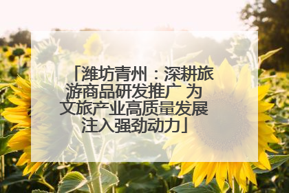 潍坊青州：深耕旅游商品研发推广 为文旅产业高质量发展注入强劲动力