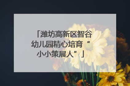 潍坊高新区智谷幼儿园精心培育“小小策展人”