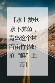 水上发电水下养鱼，青岛这个村百亩竹节虾抢“鲜”上市