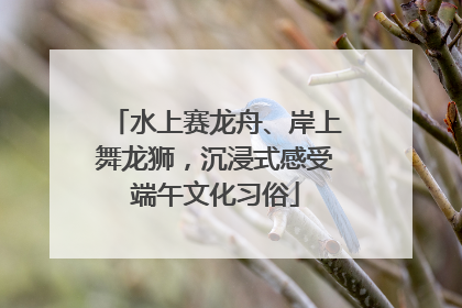 水上赛龙舟、岸上舞龙狮，沉浸式感受端午文化习俗