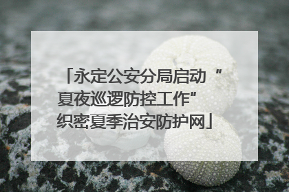 永定公安分局启动“夏夜巡逻防控工作” 织密夏季治安防护网