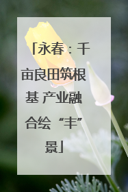 永春：千亩良田筑根基 产业融合绘“丰”景