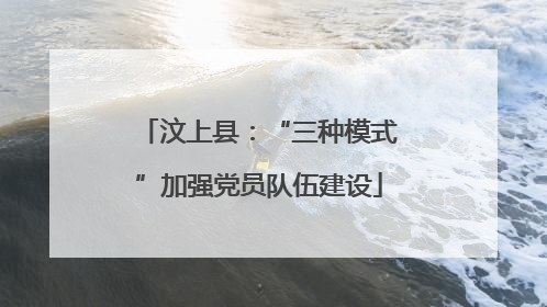汶上县：“三种模式”加强党员队伍建设
