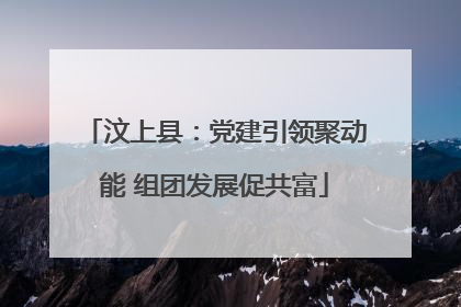 汶上县：党建引领聚动能 组团发展促共富