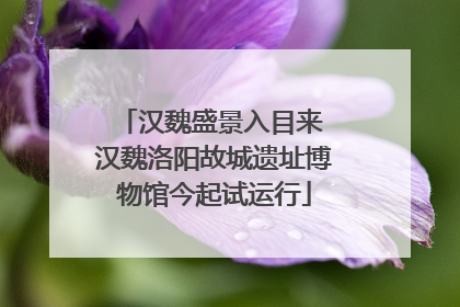汉魏盛景入目来 汉魏洛阳故城遗址博物馆今起试运行