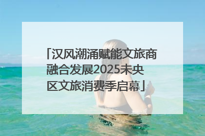 汉风潮涌赋能文旅商融合发展2025未央区文旅消费季启幕