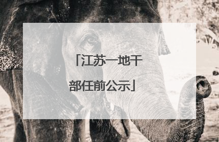 江苏一地干部任前公示
