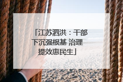 江苏泗洪：干部下沉强根基 治理提效惠民生