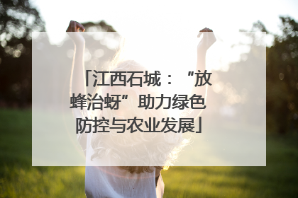 江西石城：“放蜂治蚜”助力绿色防控与农业发展