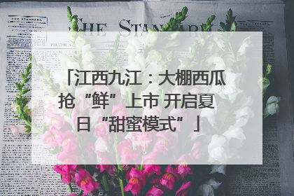 江西九江：大棚西瓜抢“鲜”上市 开启夏日“甜蜜模式”