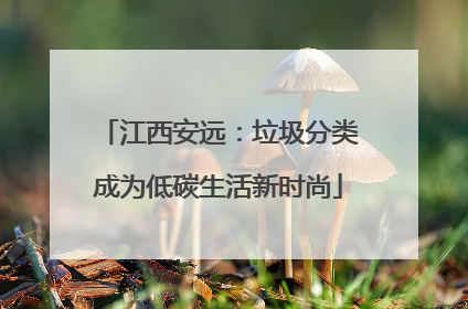 江西安远：垃圾分类成为低碳生活新时尚
