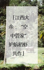 江西大余：“空中管家”护航稻虾共作