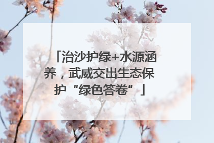 治沙护绿+水源涵养，武威交出生态保护“绿色答卷”