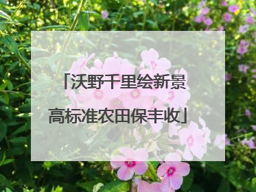 沃野千里绘新景 高标准农田保丰收