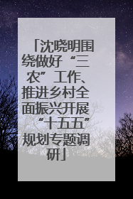 沈晓明围绕做好“三农”工作、推进乡村全面振兴开展“十五五”规划专题调研