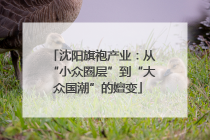 沈阳旗袍产业：从“小众圈层”到“大众国潮”的嬗变