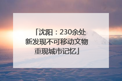 沈阳：230余处新发现不可移动文物重现城市记忆