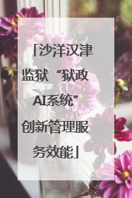 沙洋汉津监狱“狱政AI系统”创新管理服务效能
