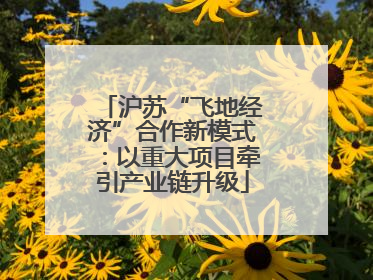 沪苏“飞地经济”合作新模式：以重大项目牵引产业链升级