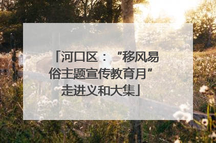 河口区：“移风易俗主题宣传教育月”走进义和大集