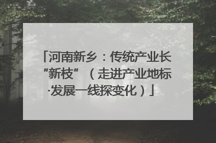 河南新乡：传统产业长“新枝”（走进产业地标·发展一线探变化）