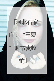 河北石家庄：“三夏”时节麦收忙