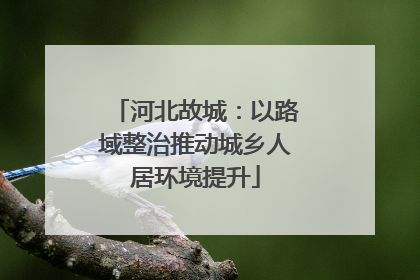 河北故城：以路域整治推动城乡人居环境提升