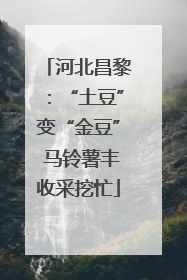 河北昌黎：“土豆”变“金豆” 马铃薯丰收采挖忙