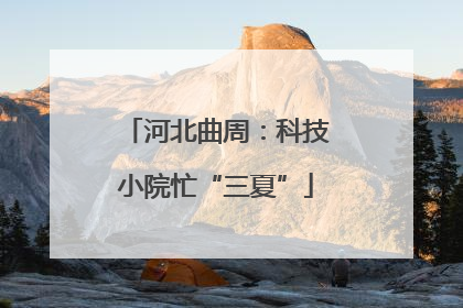 河北曲周：科技小院忙“三夏”