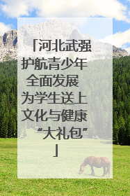 河北武强护航青少年全面发展 为学生送上文化与健康“大礼包”