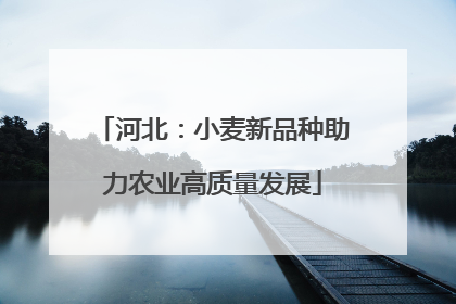 河北：小麦新品种助力农业高质量发展