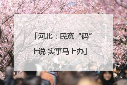 河北：民意“码”上说 实事马上办
