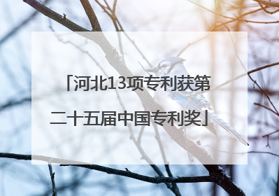 河北13项专利获第二十五届中国专利奖