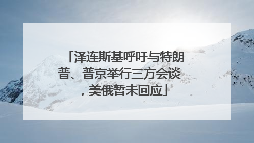 泽连斯基呼吁与特朗普、普京举行三方会谈，美俄暂未回应