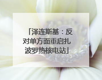 泽连斯基：反对单方面重启扎波罗热核电站