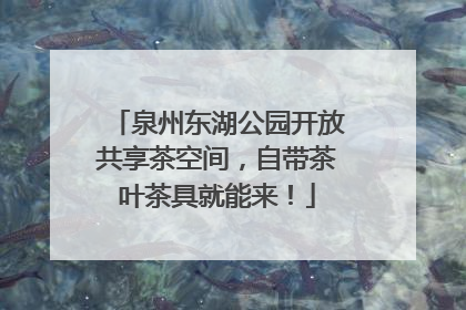 泉州东湖公园开放共享茶空间，自带茶叶茶具就能来！