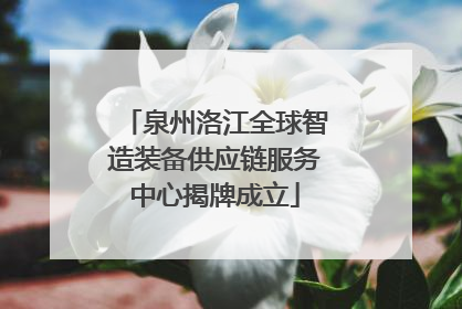 泉州洛江全球智造装备供应链服务中心揭牌成立