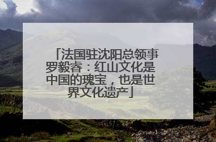 法国驻沈阳总领事罗毅睿：红山文化是中国的瑰宝，也是世界文化遗产