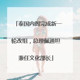 泰国内阁完成新一轮改组，总理佩通坦兼任文化部长