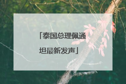 泰国总理佩通坦最新发声