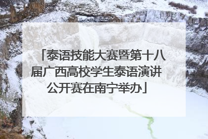 泰语技能大赛暨第十八届广西高校学生泰语演讲公开赛在南宁举办